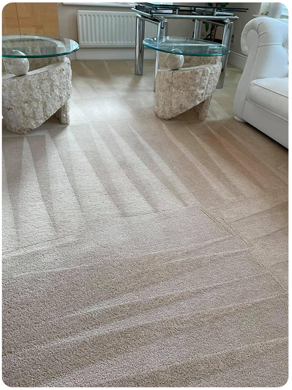 a living room carpet professionally cleaned