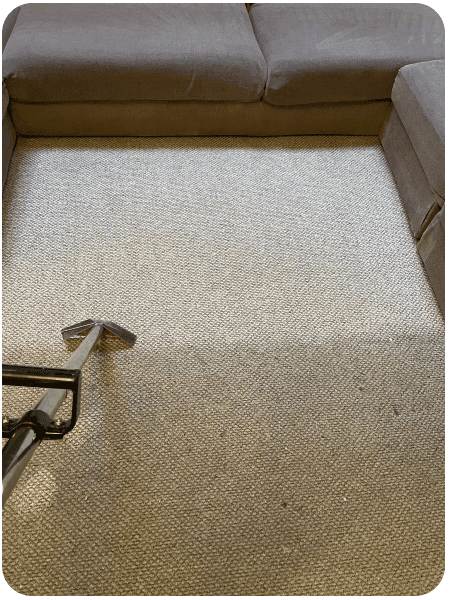 Essex carpet cleaning: a sample of our work